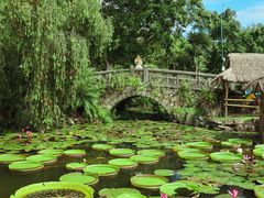 -中国科学院西双版纳热带植物园
