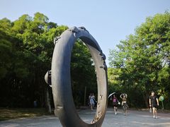 -广东惠东海龟国家级自然保护区