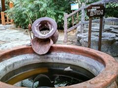 android_upload_pic-龙达温泉生态城