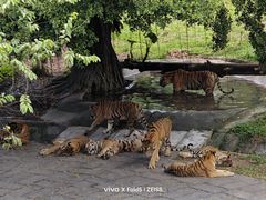 -深圳野生动物园