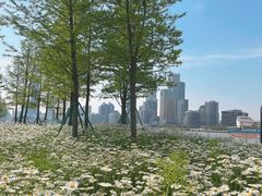 -北外滩滨江绿地