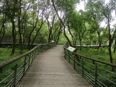 -西湖风景区-江洋畈生态公园