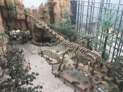 -国家自然博物馆