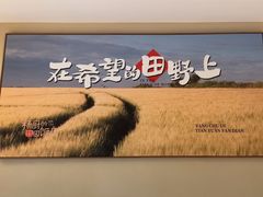 -杨厨的田园饭店(长城路店)