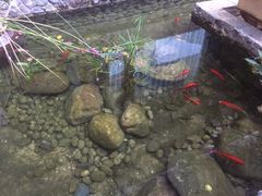 -浔岚云舍mist静谧观景美宿(丽江古城店)