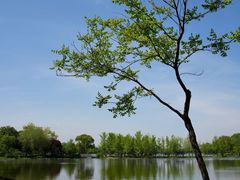-石家庄市植物园