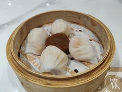 金牌虾饺皇-赏点粤式点心(广州塔店)