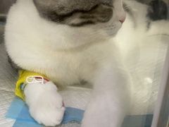 -美联众合动物医院·24h转诊中心