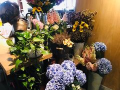 -1984魔法桌游(观音桥店)