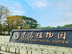 -东莞植物园