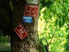 -赤水丹霞旅游区·大瀑布