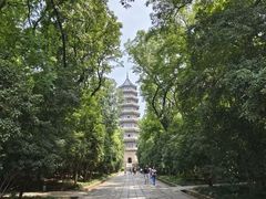 -灵谷景区