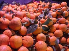 -邱金小炒·30 年盐帮江湖菜(自贡店)