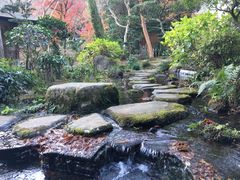 -ステーキハウス吉池