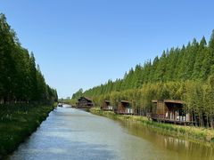 -黄海国家森林公园