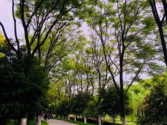 -上海鲜花港