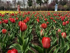 -郑州中国绿化博览园