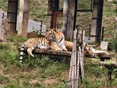 -大连森林动物园