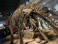 -自贡恐龙博物馆