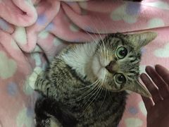 iphone_upload_pic-A+摄影