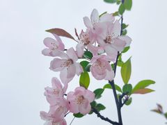 -白塘生态植物园