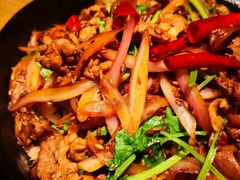 -九毛九西北菜(大东海店)