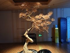 -北方暖暖温泉度假洗浴
