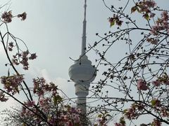 -中央广播电视塔