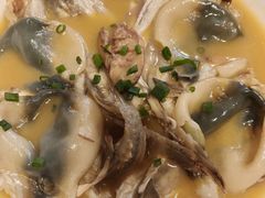-9号小厨师(端平桥店)