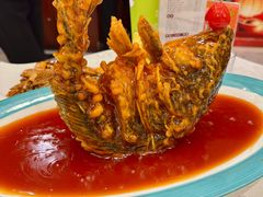 糖醋鲤鱼-金三杯酒家(泉城路店)