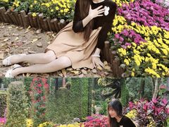 -汇龙潭