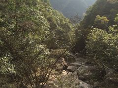 -花岩国家森林公园