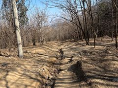 -北京鹫峰国家森林公园