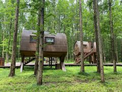 -黄海国家森林公园