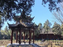 -洛阳白马寺