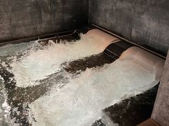 -丽思卡尔顿酒店泳池(金融街店)