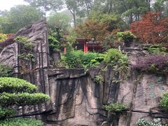 -南山植物园