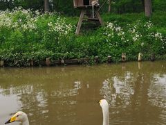-宁波杭州湾国家湿地公园