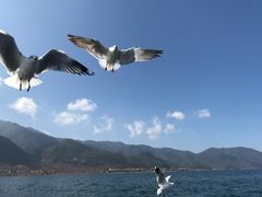 -丽江泸沽湖景区