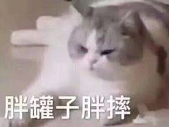 -蜜雪冰城(新北万达一店)