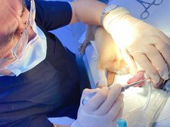 -关爱宠物医院·猫科中心·消化科(滨湖万达分院)