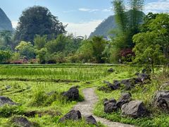 -靖西鹅泉风景区