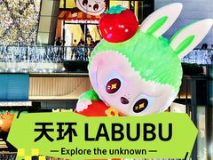 -泡泡玛特POPMART(天环购物中心店)