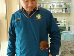 -宠颐生宠物医院·综合诊疗(先锋分院)