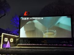 -枫花园汽车电影院(朝阳公园店)