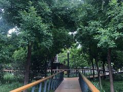 -东郊湿地公园