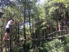 -梦幻奥陶纪景区