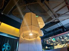 -大头椰·椰子鸡火锅(南宁万象城店)