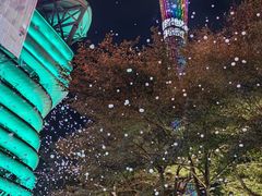 -海心沙亚运公园