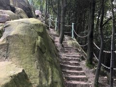 -南山植物园